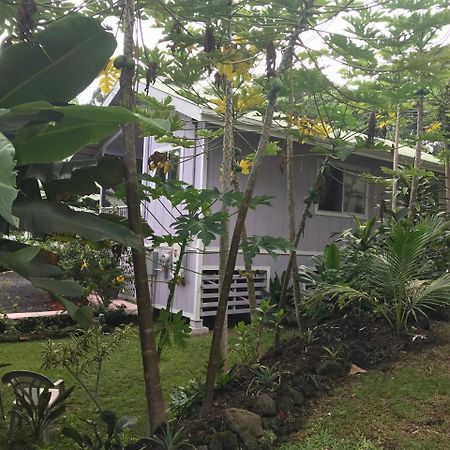 The Dolphin Cottage at Kehena Beach Exterior foto