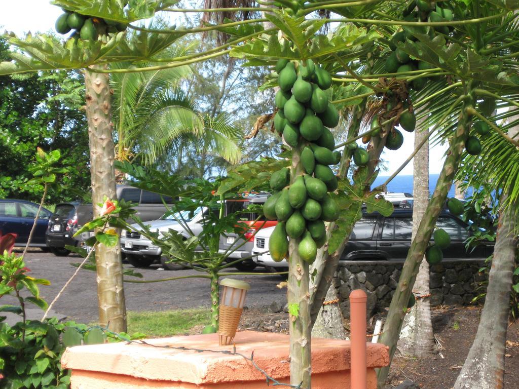 The Dolphin Cottage at Kehena Beach Exterior foto